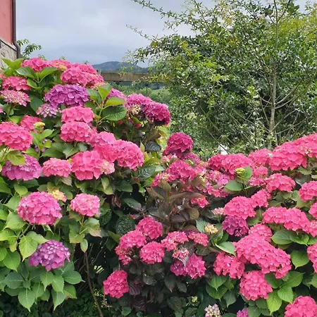 Апартаменты El Picoretu