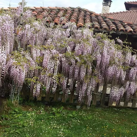 El Picoretu מסטאס דה קון