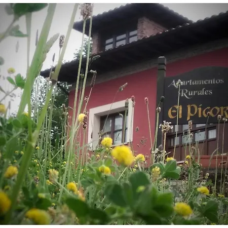 דירה El Picoretu *