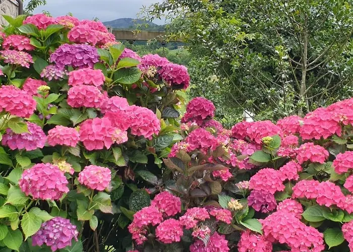 Apartament El Picoretu